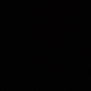 Meet your Posher, Gianna